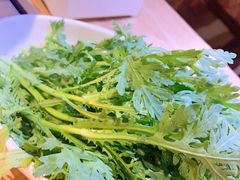 -彤德莱火锅(乐陵路店)