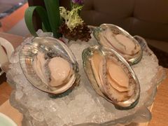 澳洲鲍鱼-协成海鲜火锅(情侣路店)