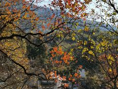 -塔川景区