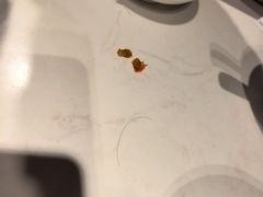 -火宫殿(五一大道分店)