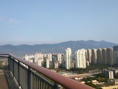 -金鸡山公园