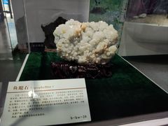 -中国第四纪冰川遗迹陈列馆
