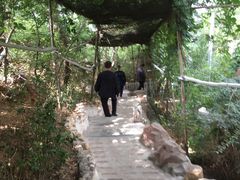 -金沙滩度假村