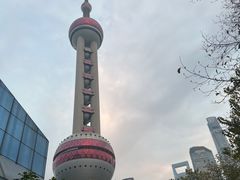 -上海大自然野生昆虫馆(东方明珠·爬宠昆虫探索中心)
