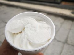 -洪馨椰子