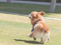 -肯德基(珠峰店)