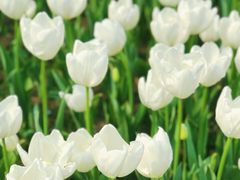 -大宁灵石公园西门票处