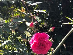 -人民公园(罗湖区)