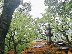 -普陀山风景名胜区-法雨禅寺