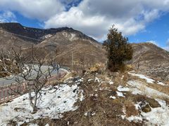 -白草畔自然风景区