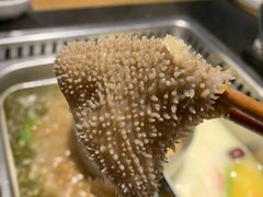 经典毛肚-巴奴毛肚火锅(六天地店)