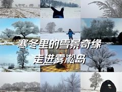 -雾凇岛