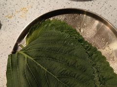 -炭之家·齐齐哈尔非遗烤肉·鲜切直供(中央大街店)