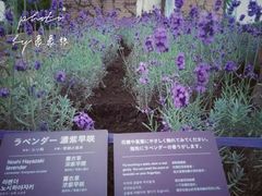 -富田农场