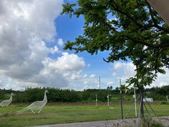 -光明小镇欢乐田园