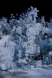 -花轿喜屋婚礼策划