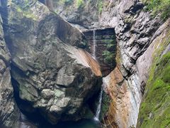-牛背梁国家森林公园