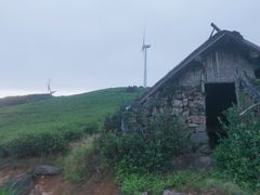 -东白山