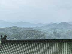 -中原大佛景区