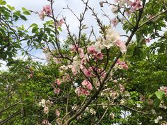 -田野绿世界