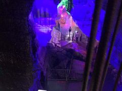 -梦幻奥陶纪景区