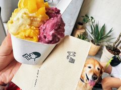 -喜茶(上海打浦桥日月光gelato lab+店)