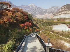 -天鹅湖生态旅游风景区