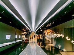 -上海虹桥中心爱琴海亚朵S酒店