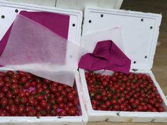 -江杨农产品批发市场