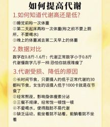 -Fundi张玉珊修身堂·indiba·BTL科技瘦身
