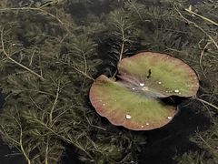 -祝甸砖窑文化馆