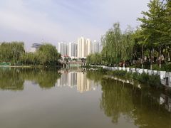 -雁滩公园