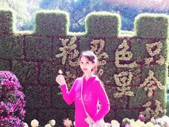-汇龙潭