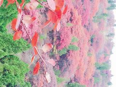 -石门坊