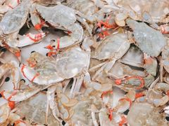 -孙家码头海鲜自助美食城