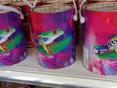 -立邦(三奇环渤海店)