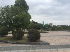 -九里河湿地公园