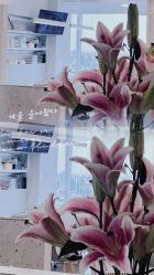 点击看大图 -Verywang半永久纹眉•仪器野生眉