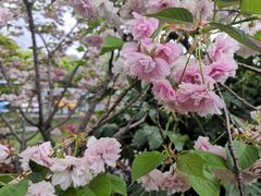 -鲁迅公园-垂钓中心