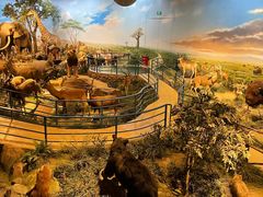 -陕西自然博物馆