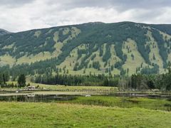 -帽儿山国家森林公园