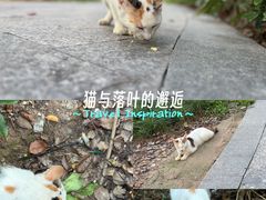 -南方医科大学南方医院(院本部)