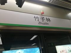 -竹子林(地铁站)