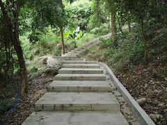 -火炉山森林公园