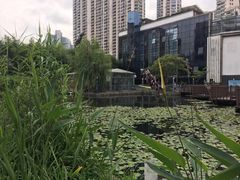 -苏州河梦清园环保主题公园