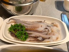 鱿鱼-海底捞火锅(吴中路店)