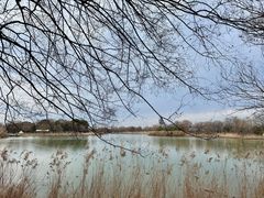 -苏州太湖国家湿地公园