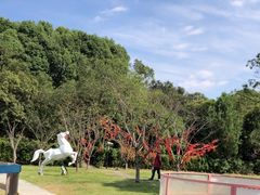 -白马涧龙池景区