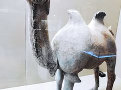 -敦煌市博物馆