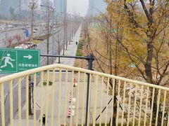 -桂溪生态公园